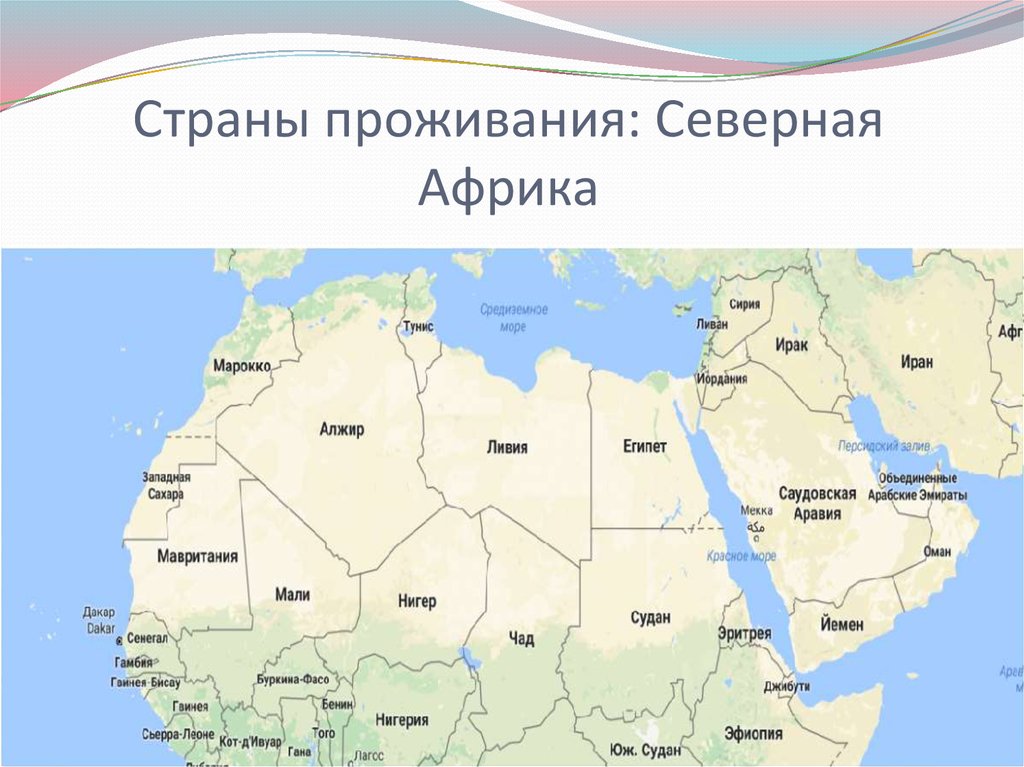 Где находится страна африка. Государства севера Африки на карте. Государства Северной Африки. Страны северноймафрики. Снареная Африка страны.