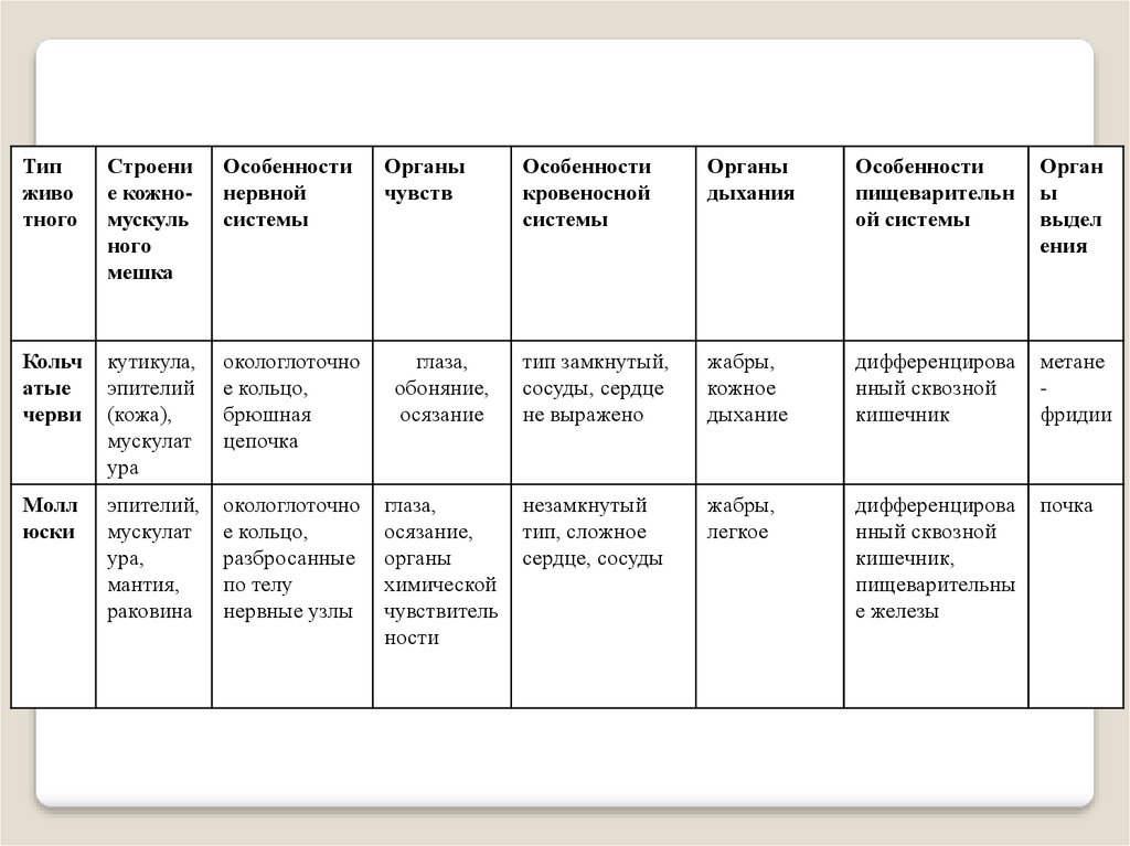 Кольчатые черви и моллюски. Сравнительная характеристика кольчатых червей и моллюсков. Таблица сравнительная характеристика кольчатых червей и моллюсков. Таблица сравнения кольчатых червей и моллюсков. Кольчатые черви и моллюски сравнительная характеристика.