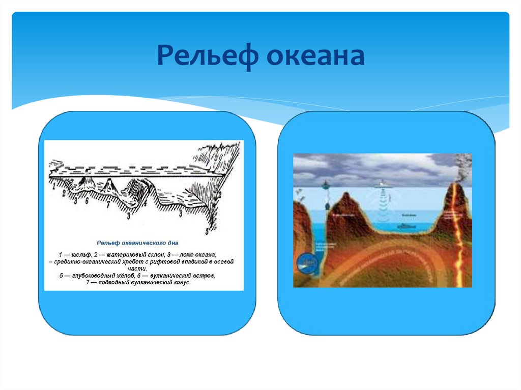 Впадины океанов рельеф. Рельеф океана. Формы рельефа океана 5 класс. Рельеф океана рисунок. География 5 класс формы рельефа океана.