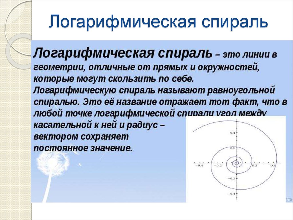 Логарифмическая спираль картинки