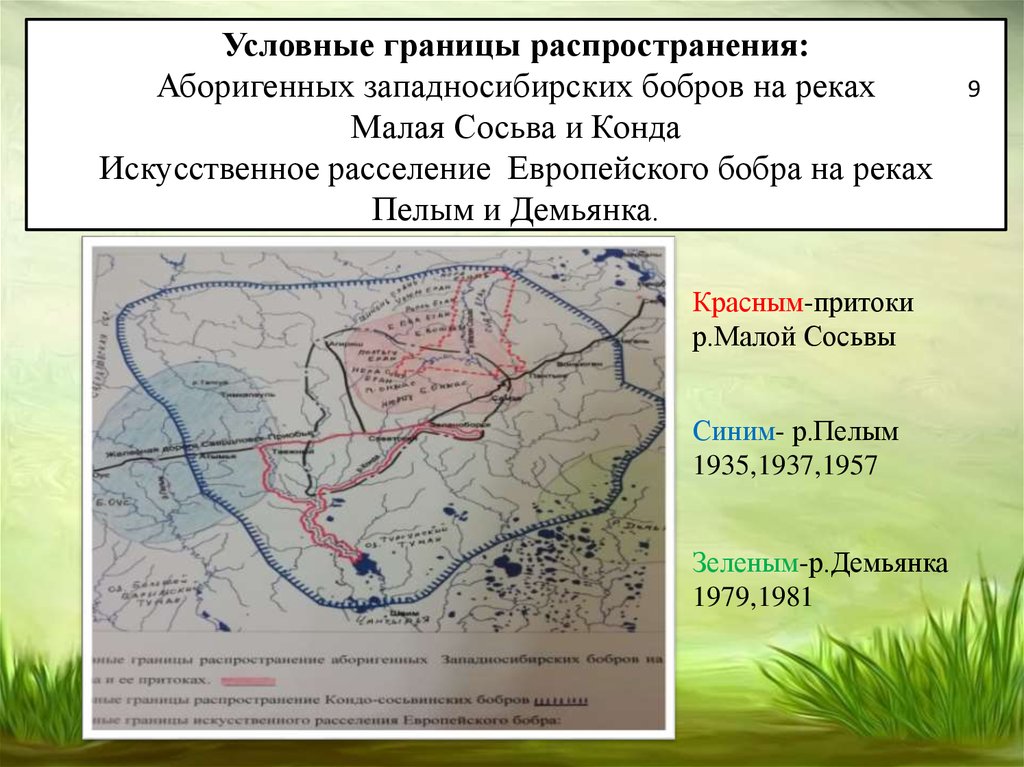 Условные границы. Малая Сосьва река на карте. Сибирь границы условные. Распространение Западносибирского речного бобра.