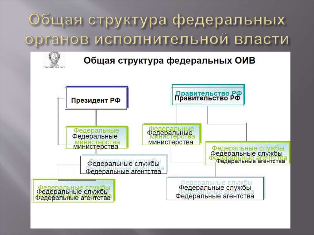 Общая структура федеральных органов исполнительной власти