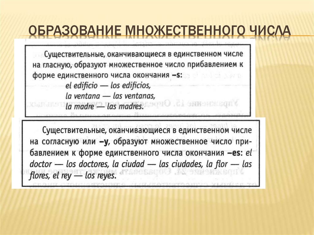 Образовать множественное число слова. Форма множественного числа. Образование формы множественного числа. Образовательные формы множественного числа. Неправильно образована форма множественного числа.