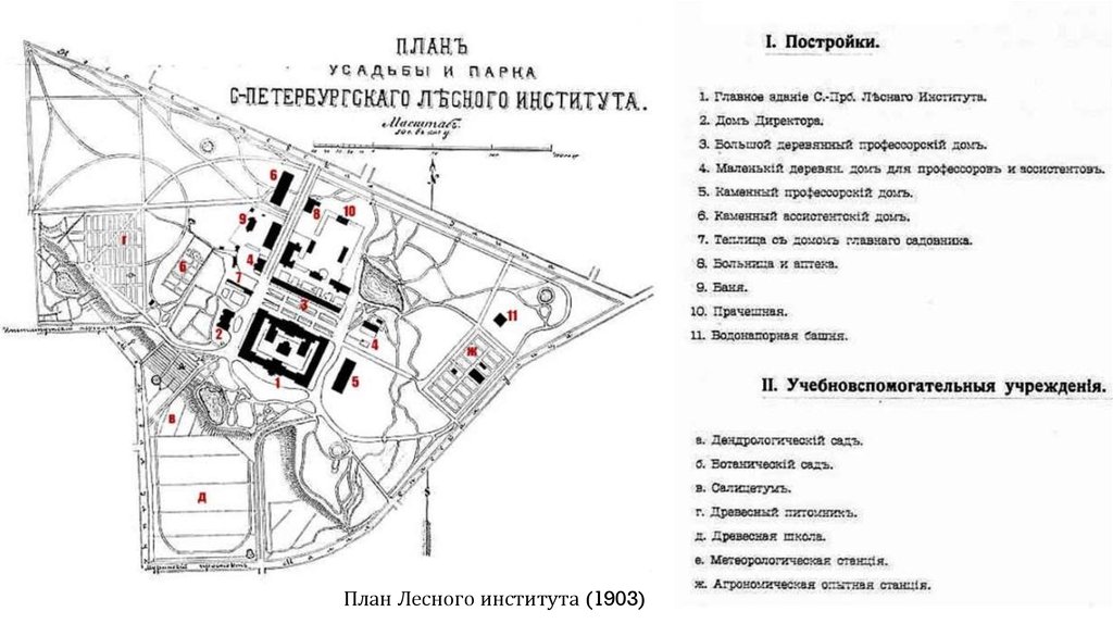 План академия парк