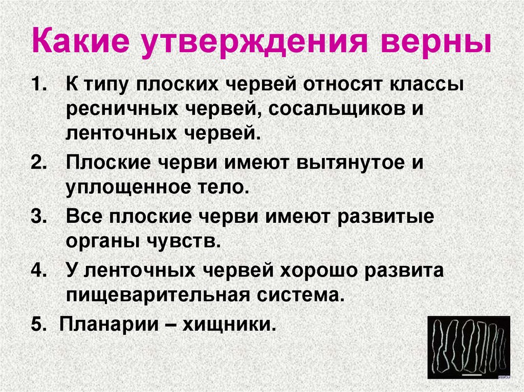 Укажите все верные утверждения