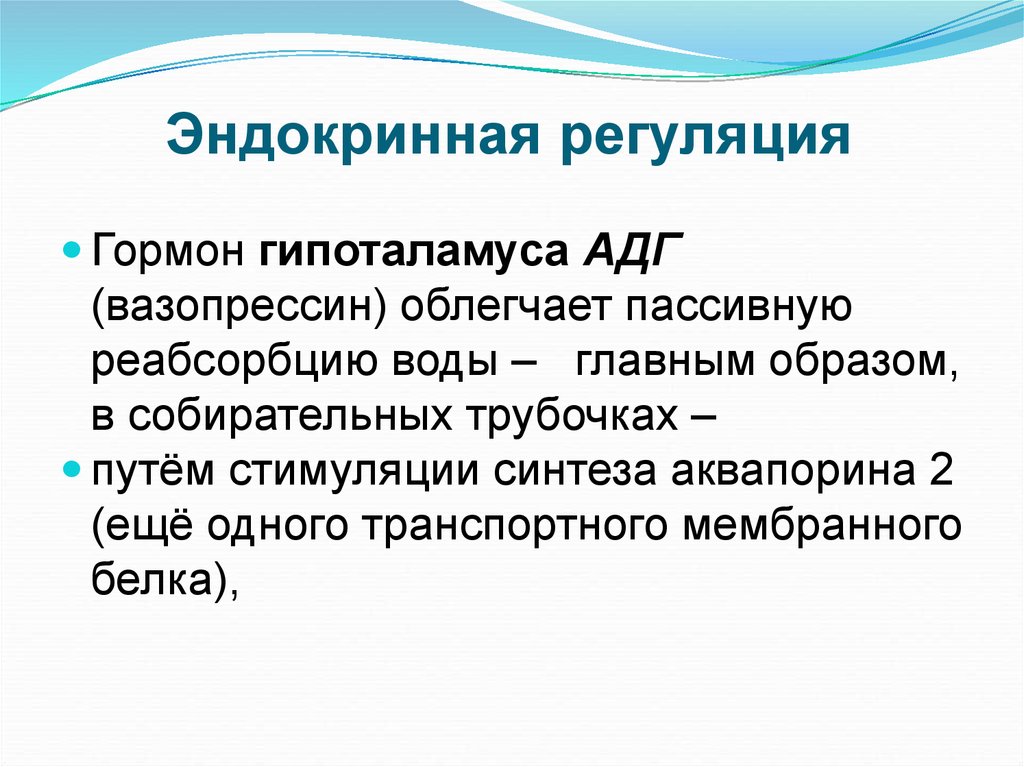 Эндокринная регуляция. Регуляция секреции АДГ. Регуляция воды антидиуретическим гормоном (АДГ). Регуляция секреции вазопрессина.