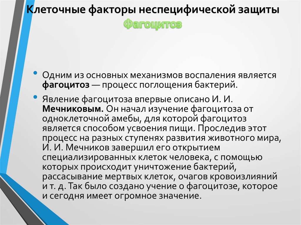 Клеточные факторы. Клеточные факторы неспецифической защиты. Клеточные факторы неспецифической защиты представлены. Клеточные и гуморальные факторы неспецифической защиты. Клеточными факторами неспецифической защиты являются.