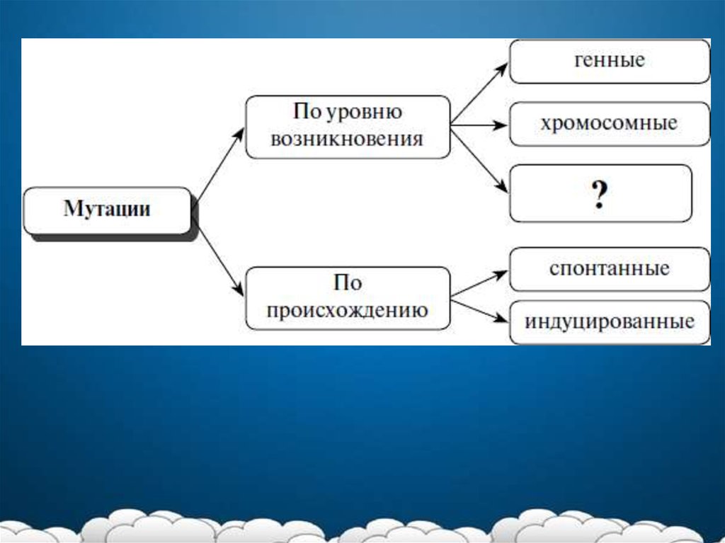 Память презентация по биологии