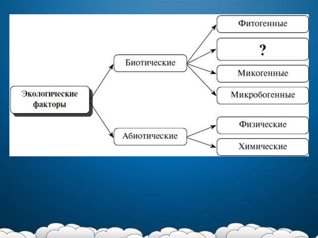 Фитогенные факторы картинки