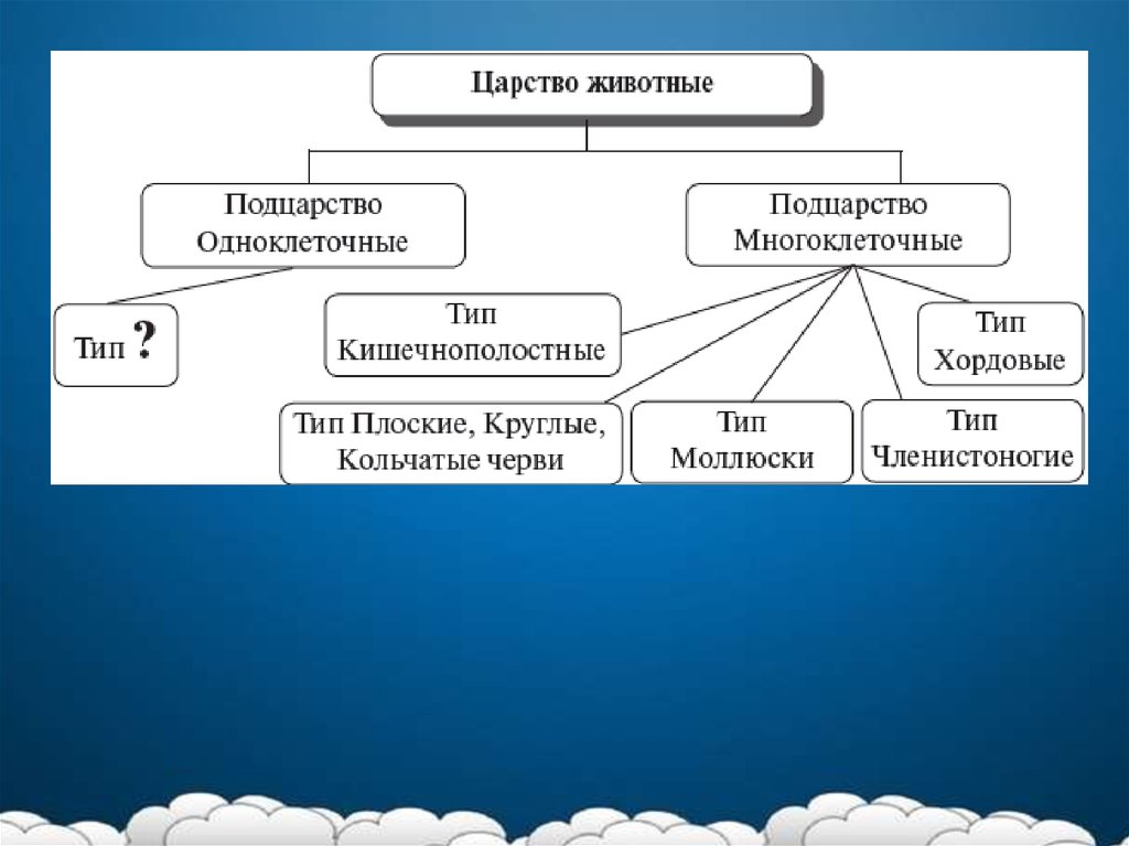 Память презентация по биологии