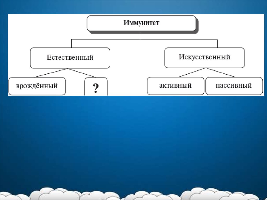 Память биология презентация