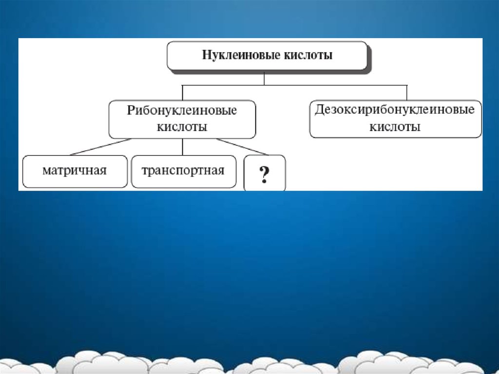 Презентация по биологии на тему воля