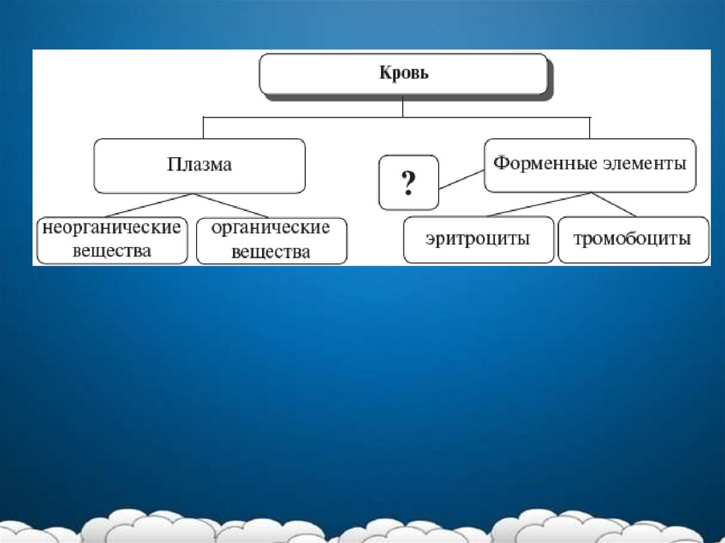 Память презентация по биологии