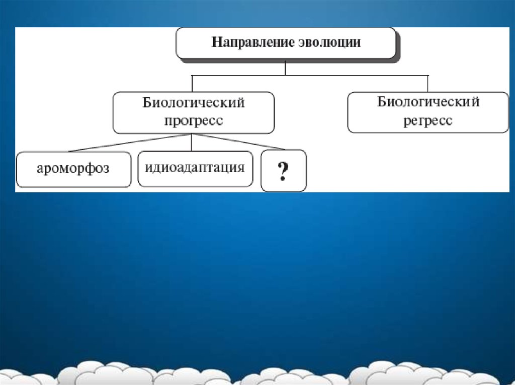 Презентация на тему воля биология