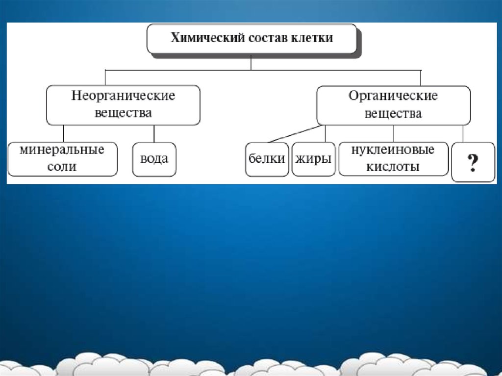 Память биология презентация