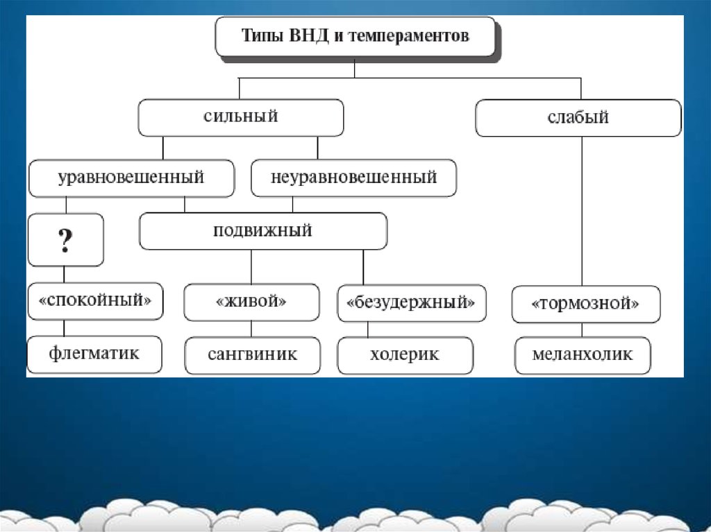 Высшая нервная деятельность презентация 9 класс. Сильный неуравновешенный Тип ВНД. Высшая нервная деятельность 8 класс биология. Неустойчивый Тип высшей нервной деятельности. Сильный уравновешенный инертный Тип.