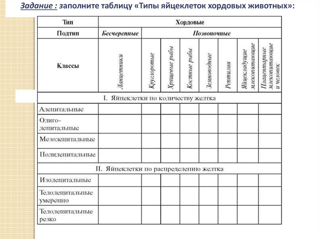 Типы позвоночных животных таблица