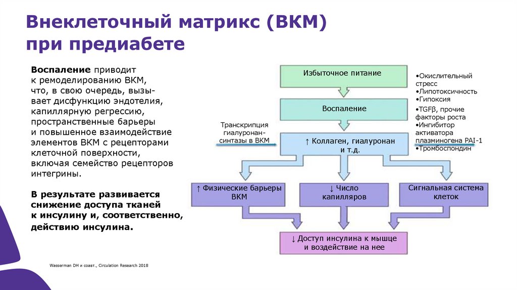 Подходы к диагностике