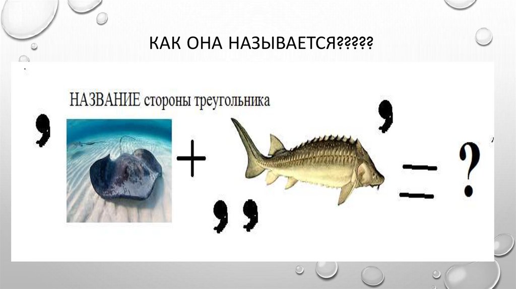 Картинку как она называется. Геометрический ребус на гр. Ребус геометрический с бровями. Геометрические тела и их проекции ребусы. Ребусы по геометрии симметрия.