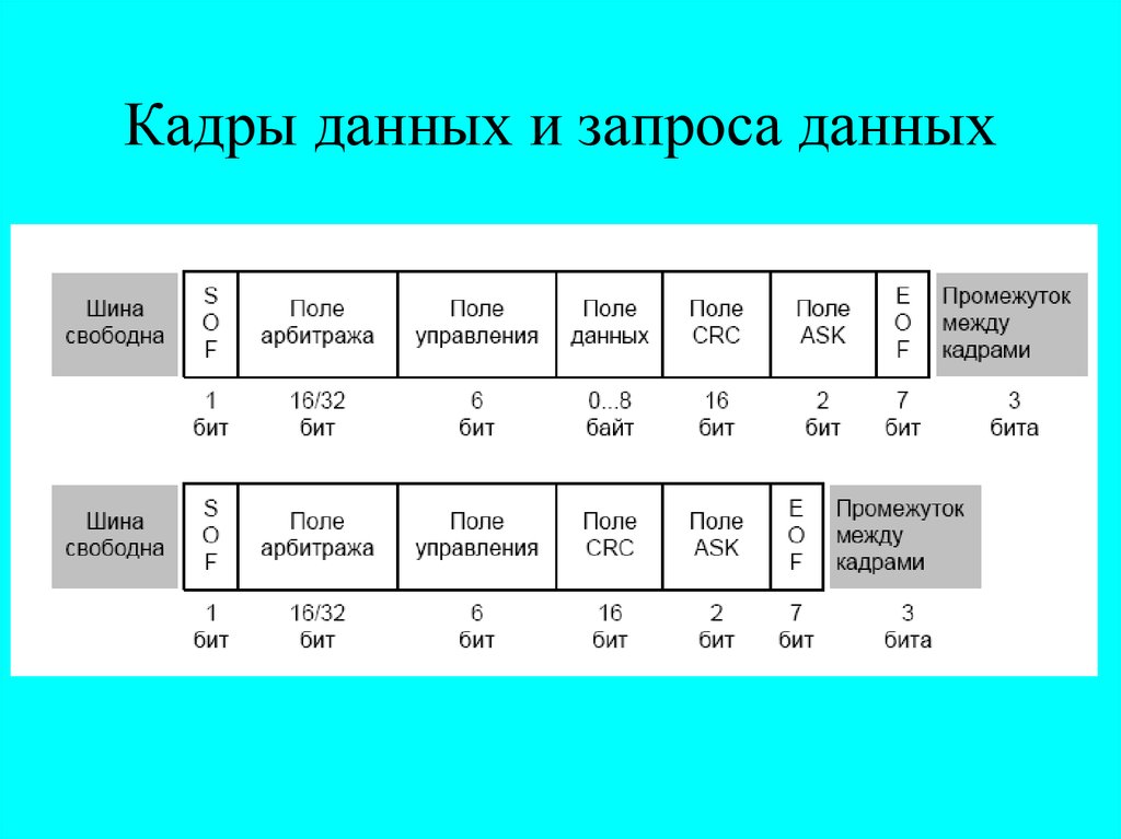 Кадр данных. Кадры данных. Кадровые данные. Кадры данных Информатика. Кадр данных стандарта can 2.0a..