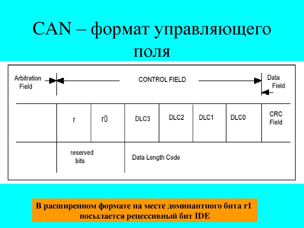 Управляющее поле. Размер управляющего поля. Can Формат. Кан Форматы. FRMR размер управляющего поля.