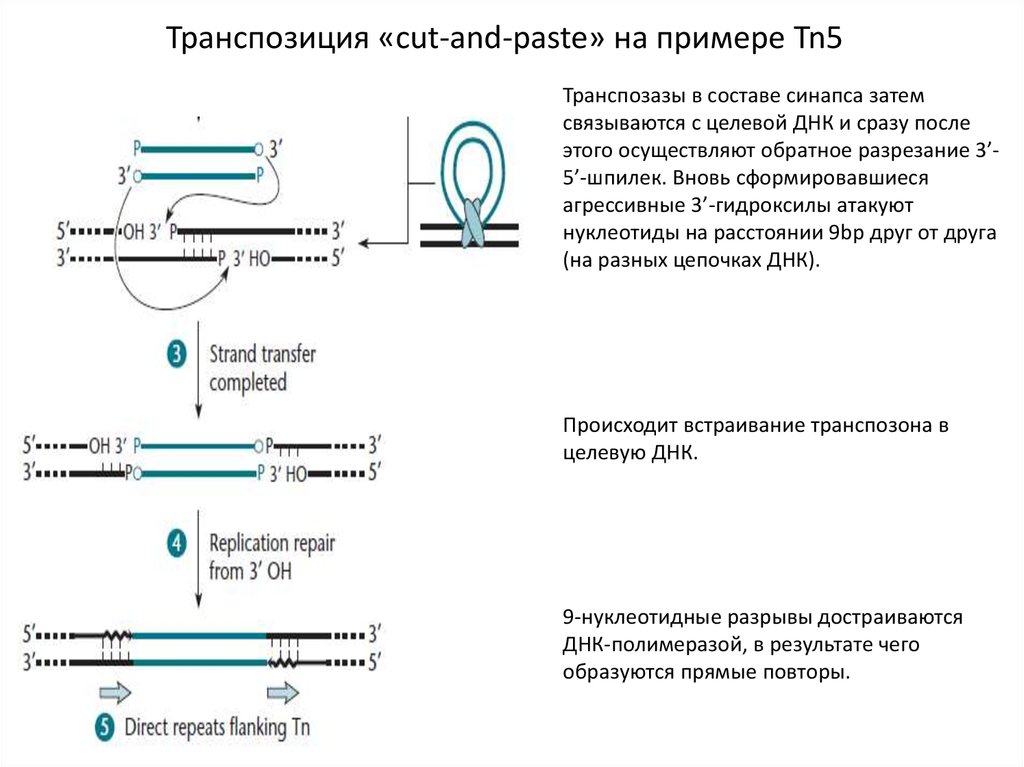 Рекомбинация в физике