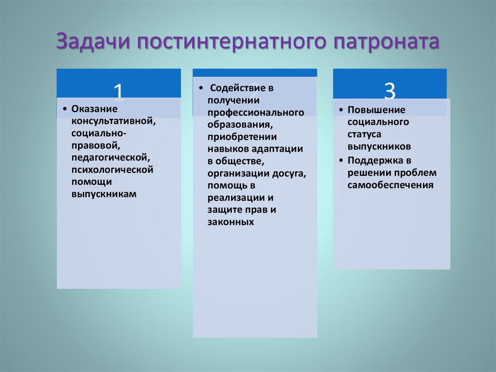 План патронатного сопровождения выпускников с опфр