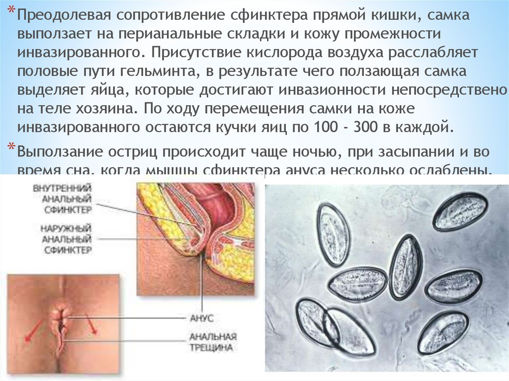 Что такое анальная бахромка и как от неё избавиться?