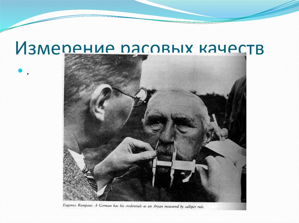 Шанс на любовь евгеника. Евгеника группа. Браво Евгеника. Евгеника в СССР.