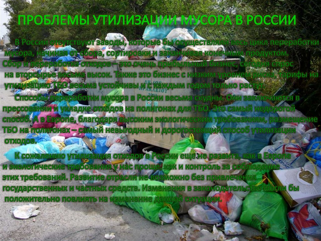 ПРОБЛЕМЫ УТИЛИЗАЦИИ МУСОРА В РОССИИ