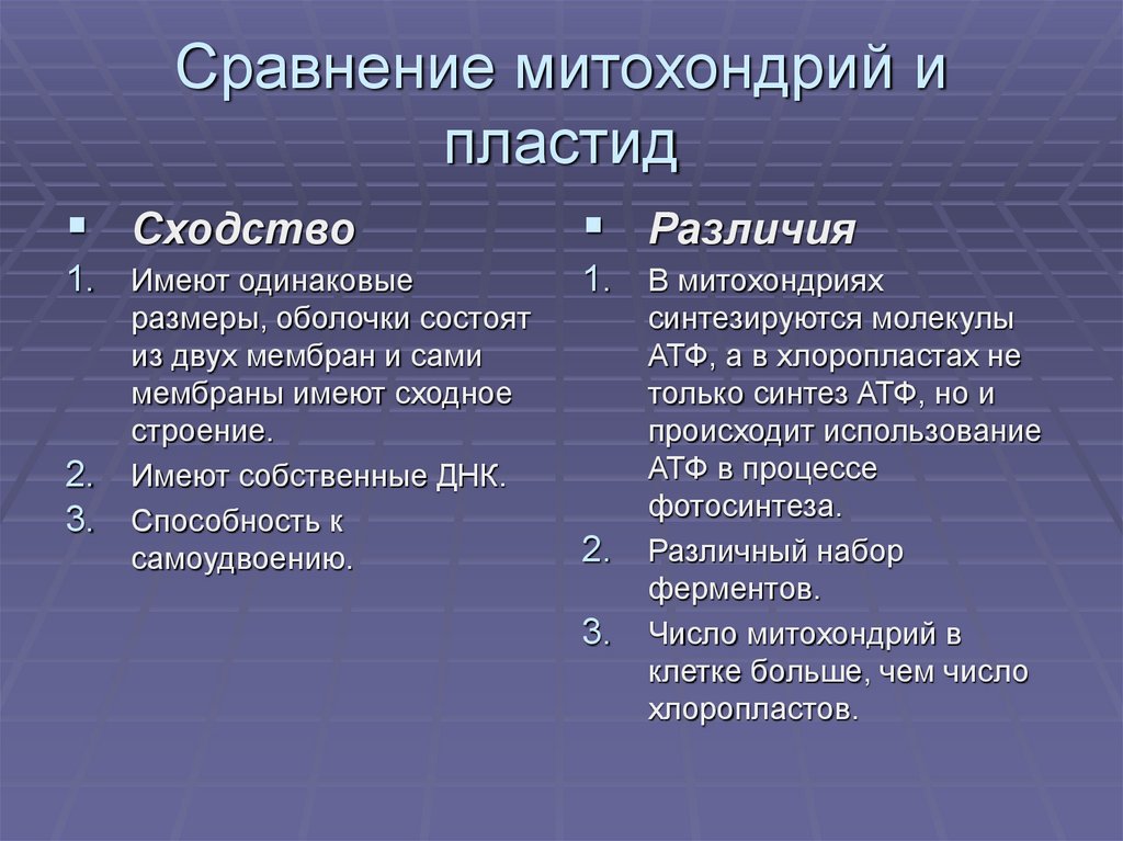 Найдите черты отличия. Строение и функции митохондрий и пластид. Сравнительная характеристика митохондрий и пластид таблица. Сходства и различия митохондрий и пластид. Сходства и различия митохондрий и хлоропластов.