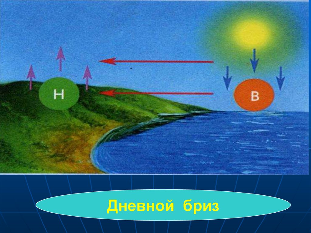 Картинка бриз дневной и ночной