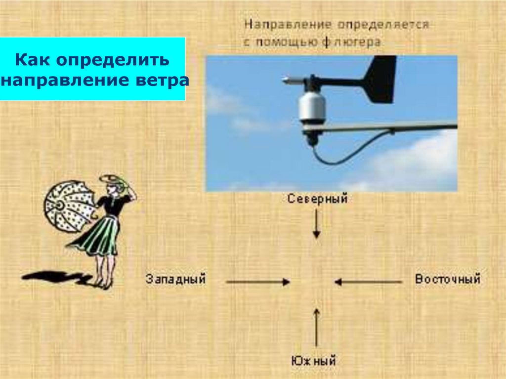 Прибор с помощью которого определяют направление. Как понять направление ветра. С помощью флюгера определите направление ветра.. Как определить направление ветра с помощью флюгера. Определение направления ветра.