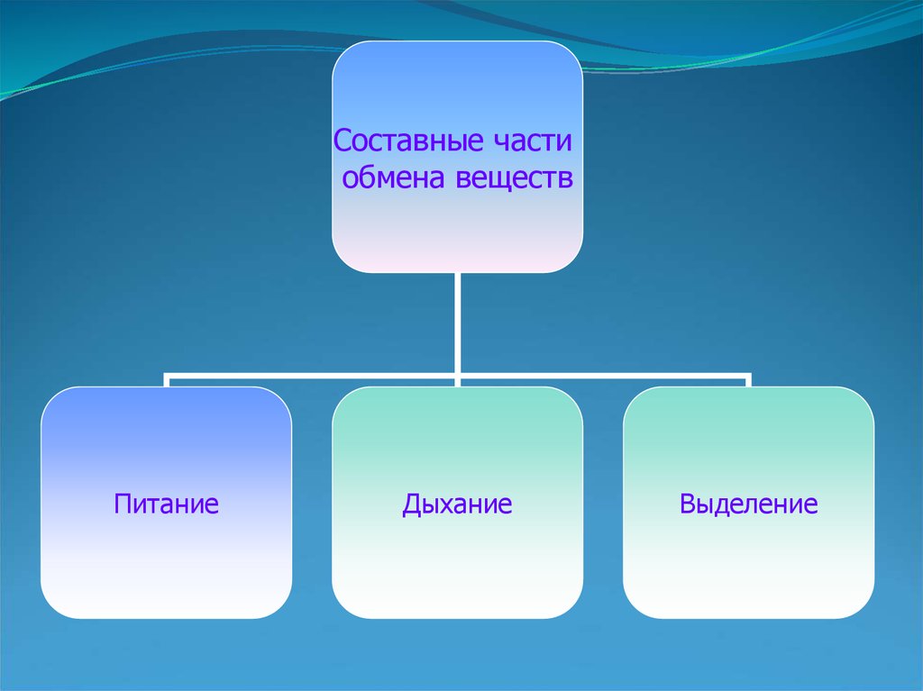 Презентация обмен. Составные части обмена веществ. Обмен веществ питание дыхание выделение. Обмен веществ 6 класс. Что такое обмен веществ в биологии 6 класс.