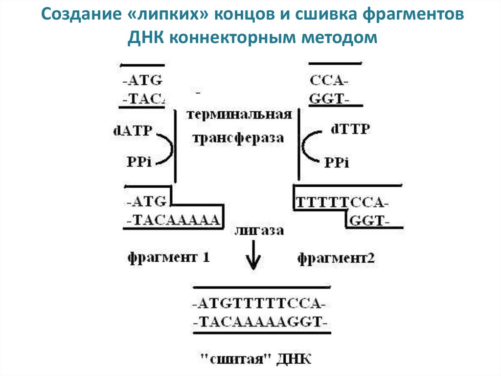 Метод фрагмент