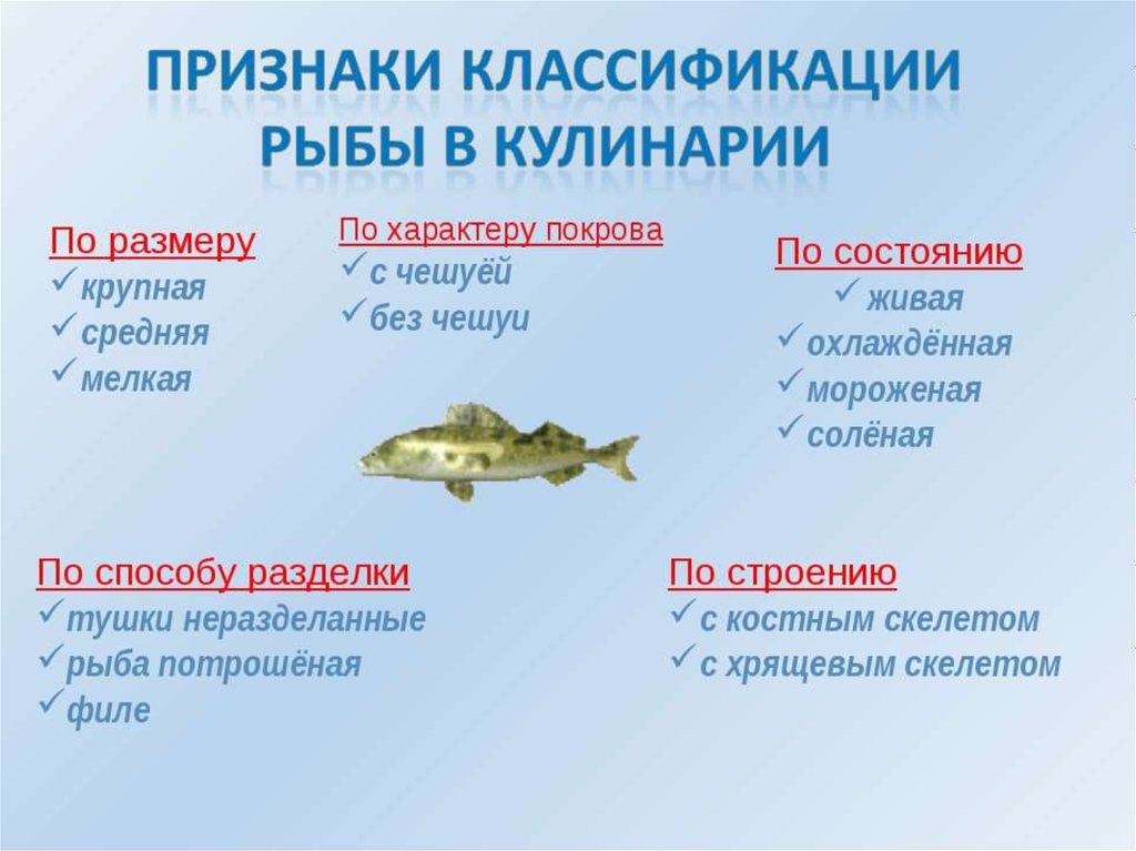 Примеры группы рыбы. Классификация рыб. Классификация рыбы по размеру. Классификация видов рыб. Классификация рыбного сырья.