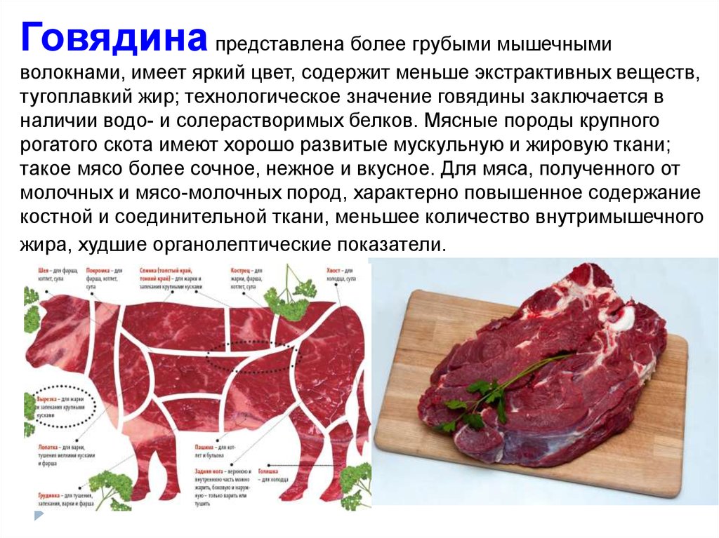 Части говядины для чего подходит. Товароведение говядины. Мускульное мясо говядины. Мышечное мясо говядины это.