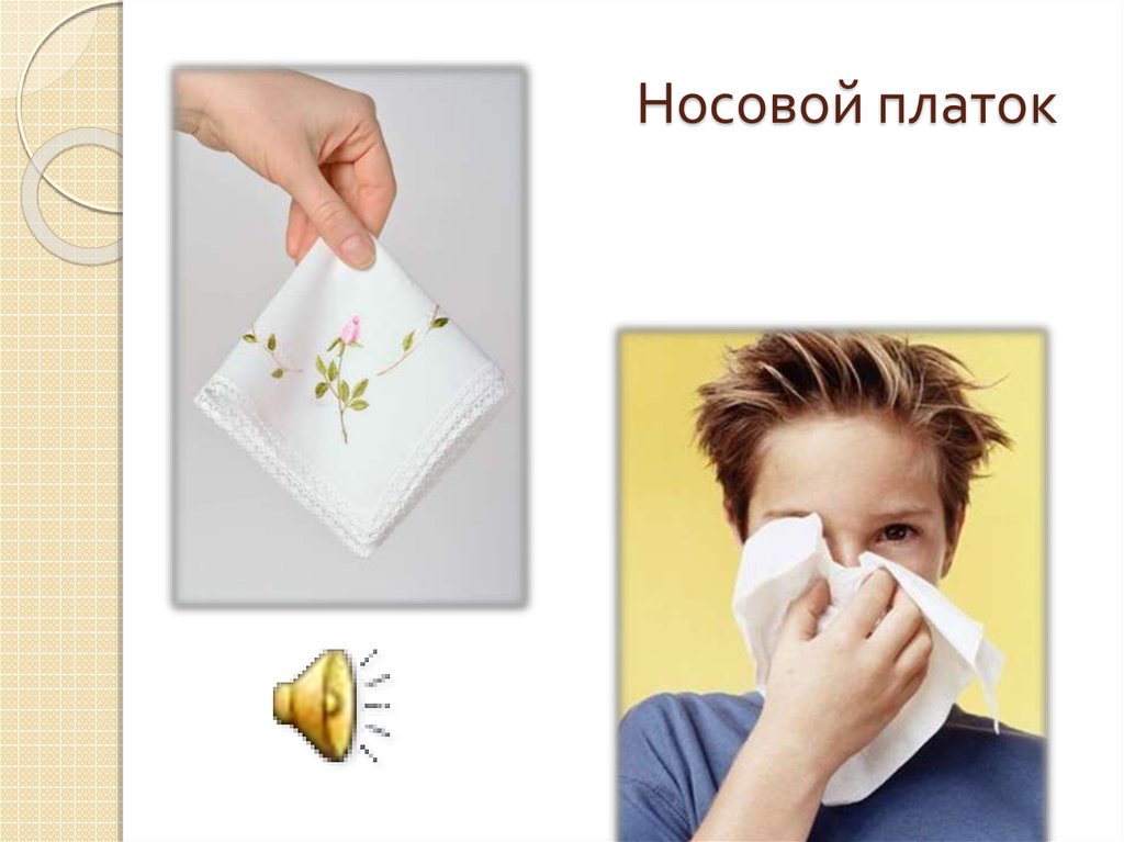 Носовой платок