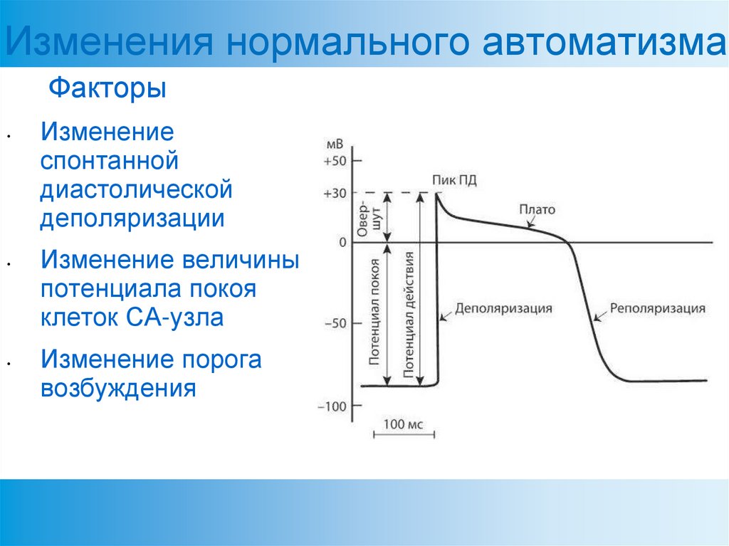 Нормальные изменения. Фаза спонтанной медленной диастолической деполяризации. Спонтанная диастолическая деполяризация механизм. Механизмы возникновения медленной диастолической деполяризации. Изменение нормального АВТОМАТИЗМА.