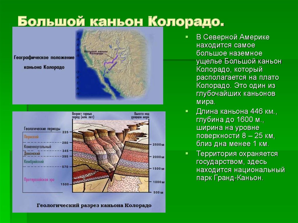 Презентация про колорадо