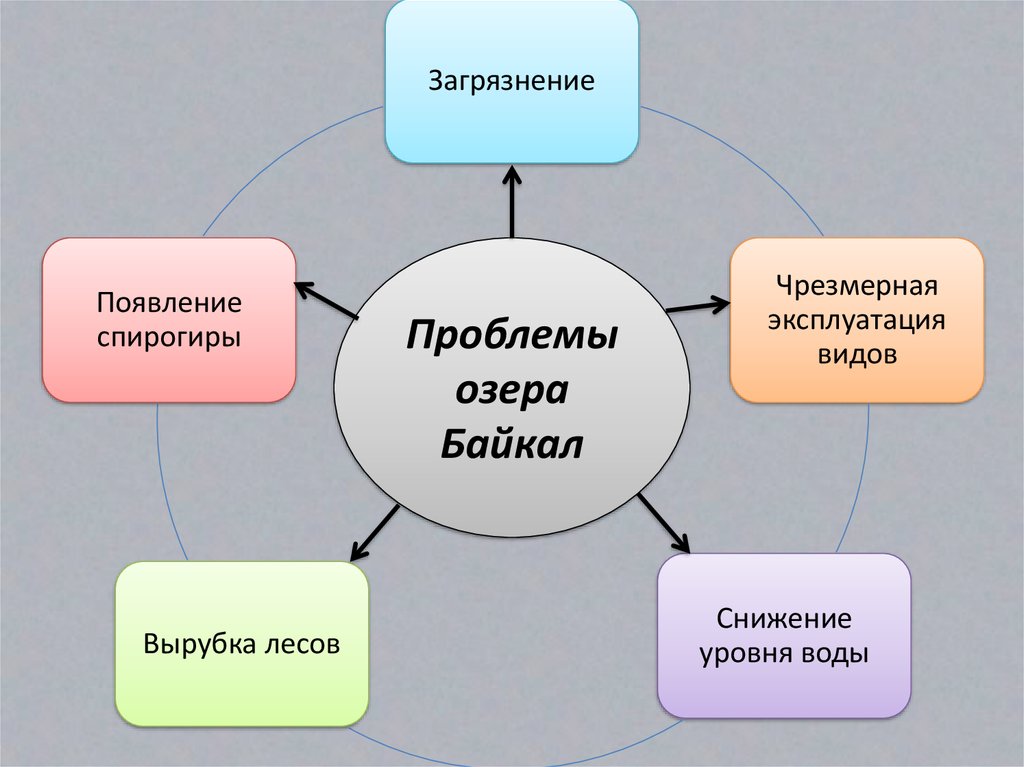 Спирогиры на байкале презентация