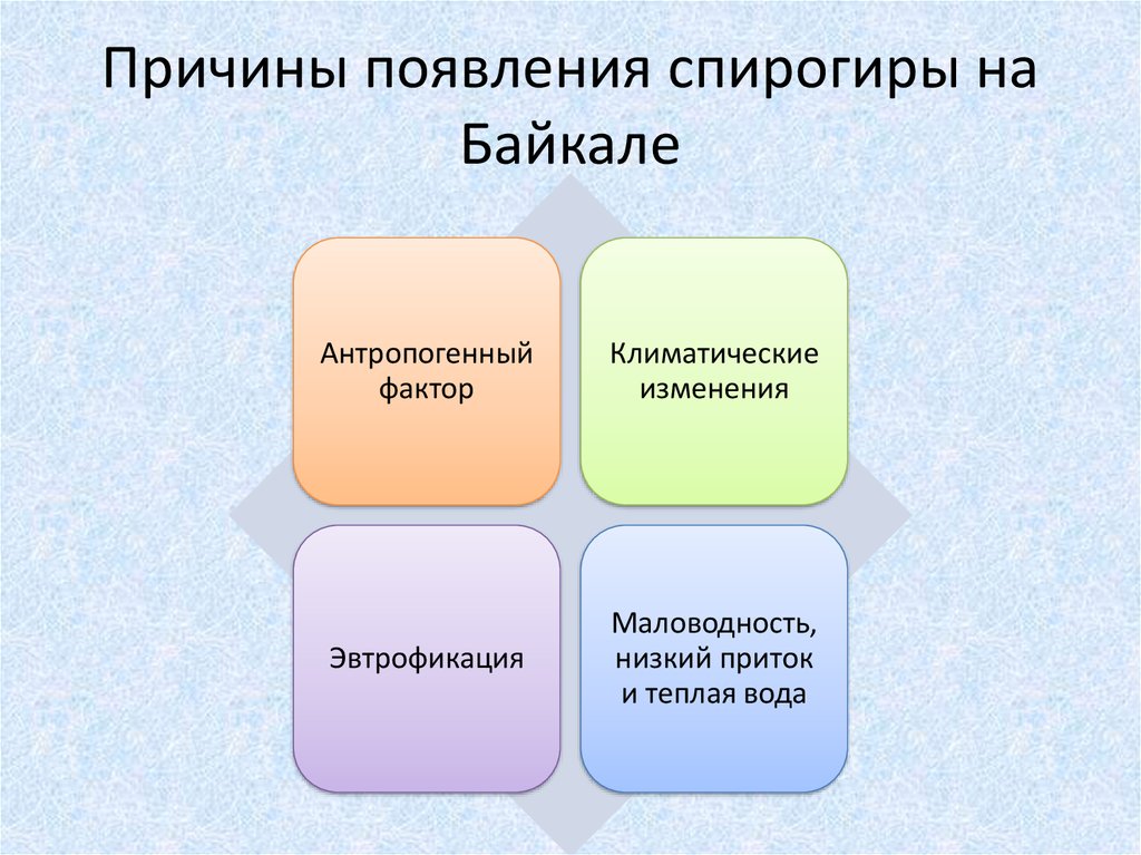 Спирогиры на байкале презентация