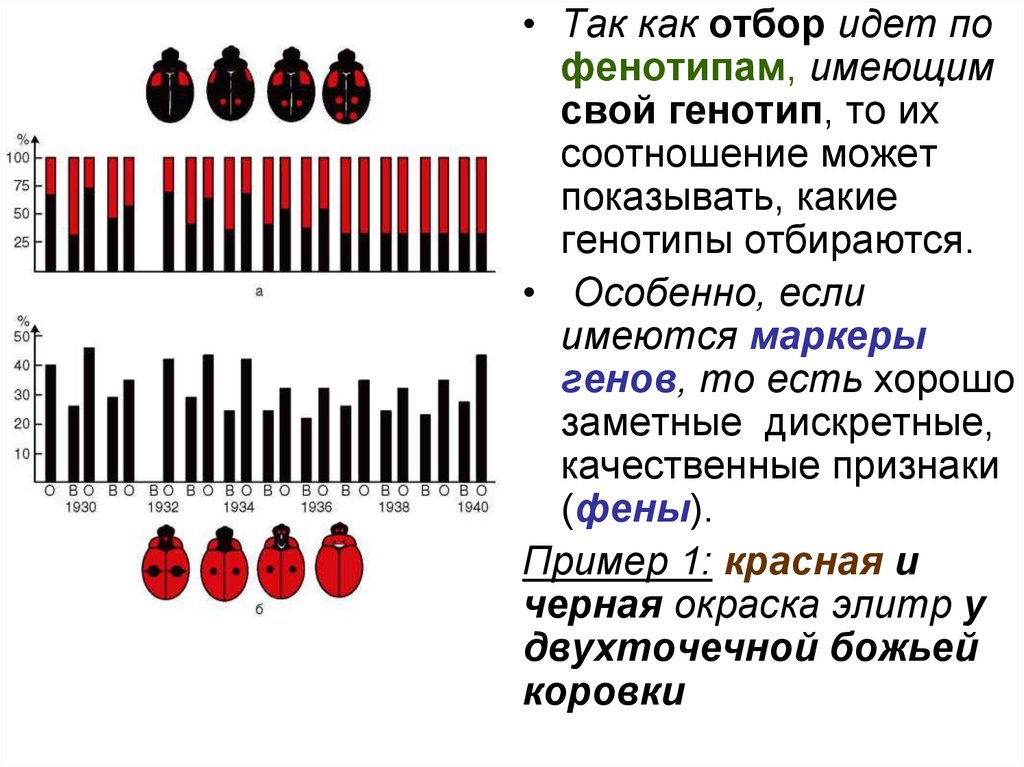 Карта фенотипа пример