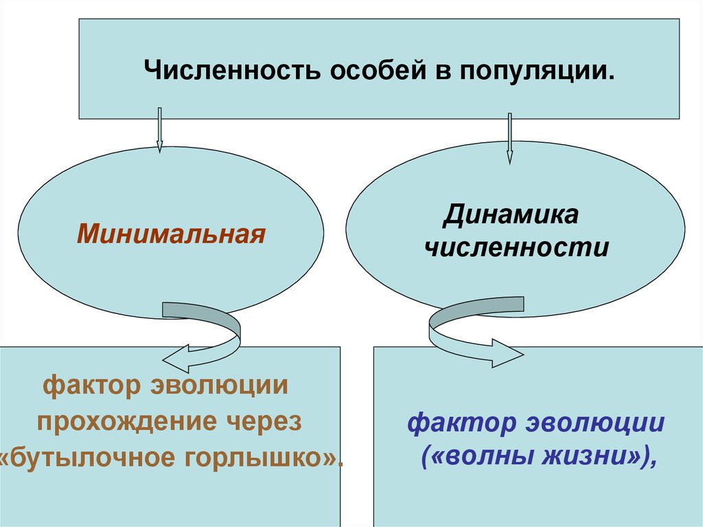 Микроэволюция вид популяция