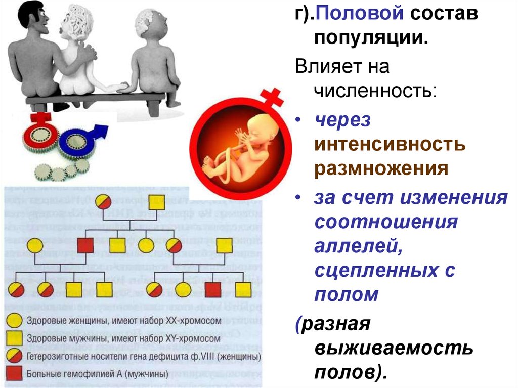 Интенсивность размножения и ограниченность