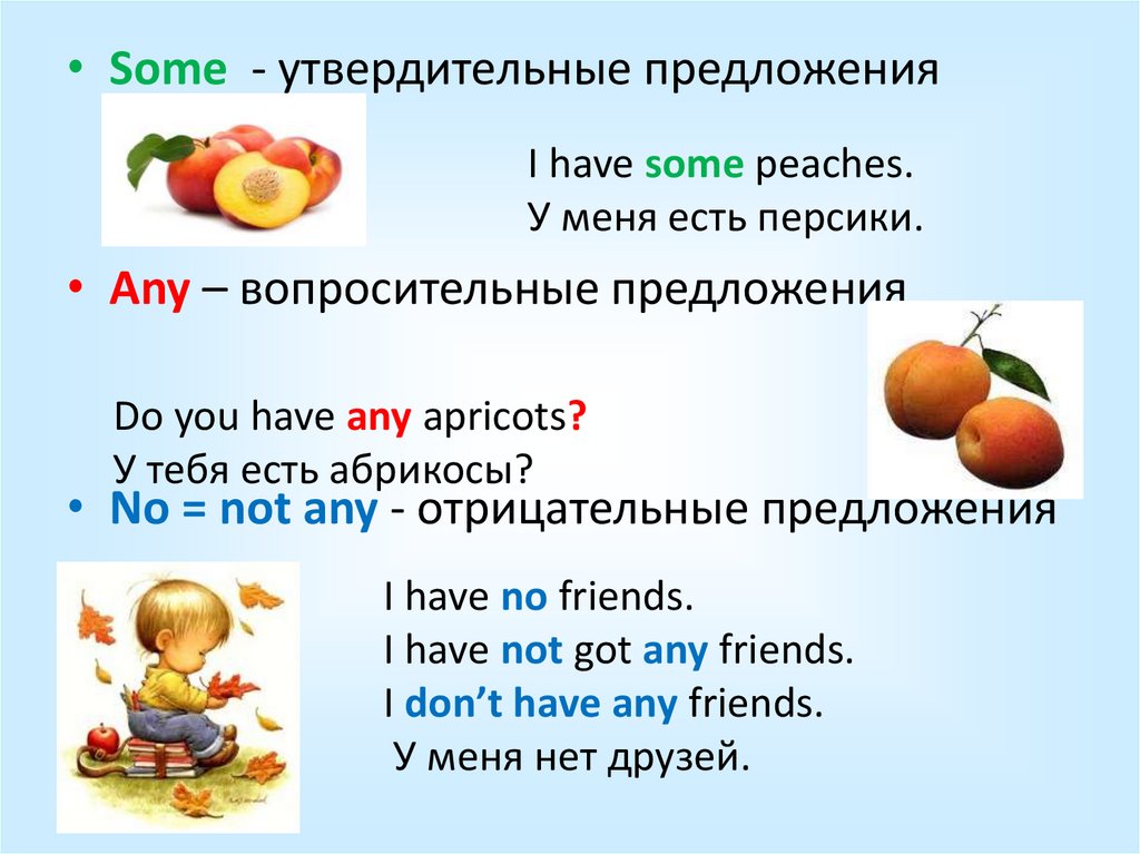 3 fill in some or any. Местоимения some any. Неопределенные местоимения some any. Предложения с some any no. Some any how much how many правило.