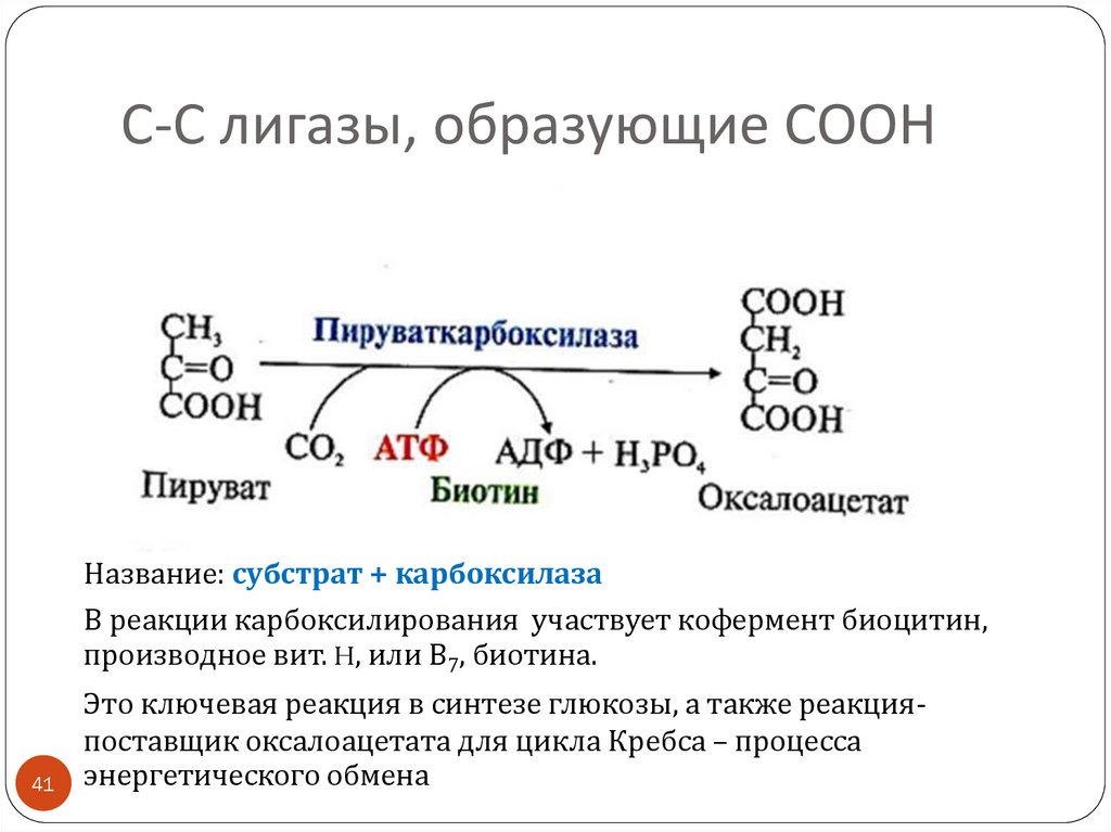Ферменты катализирующие синтез. Пируваткарбоксилаза фермент. Лигазы Тип катализируемой реакции. Пируват в оксалоацетат фермент. Лигазы класс ферментов.