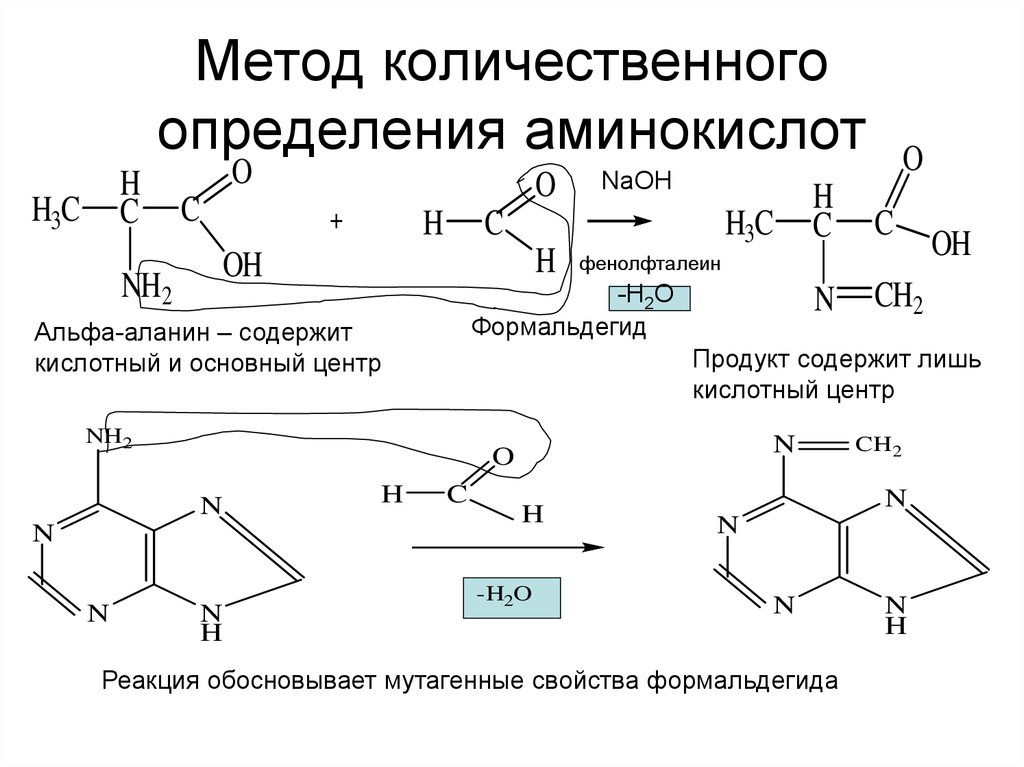 Метод количественного определения аминокислот