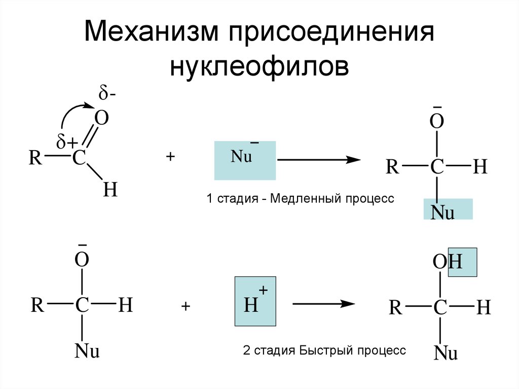 Механизм присоединения нуклеофилов