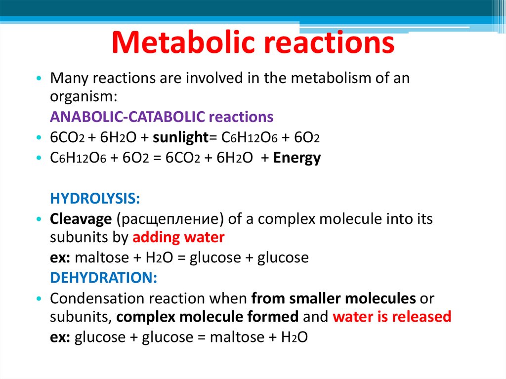 Metabolic reactions